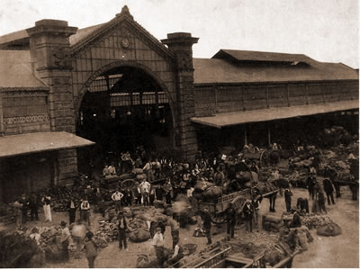 mercado de abasto